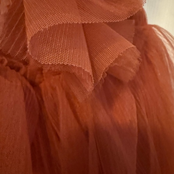 Rust Tulle Ruffle Dress - Picture 4 of 4